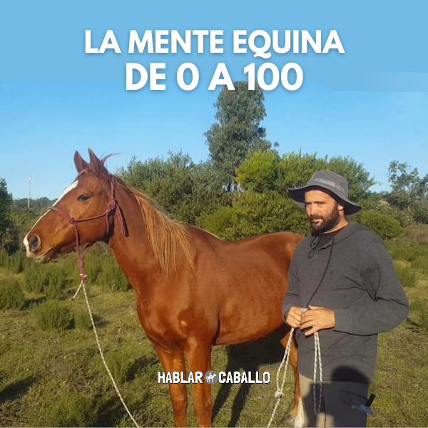 La Mente Equina de 0 a 100