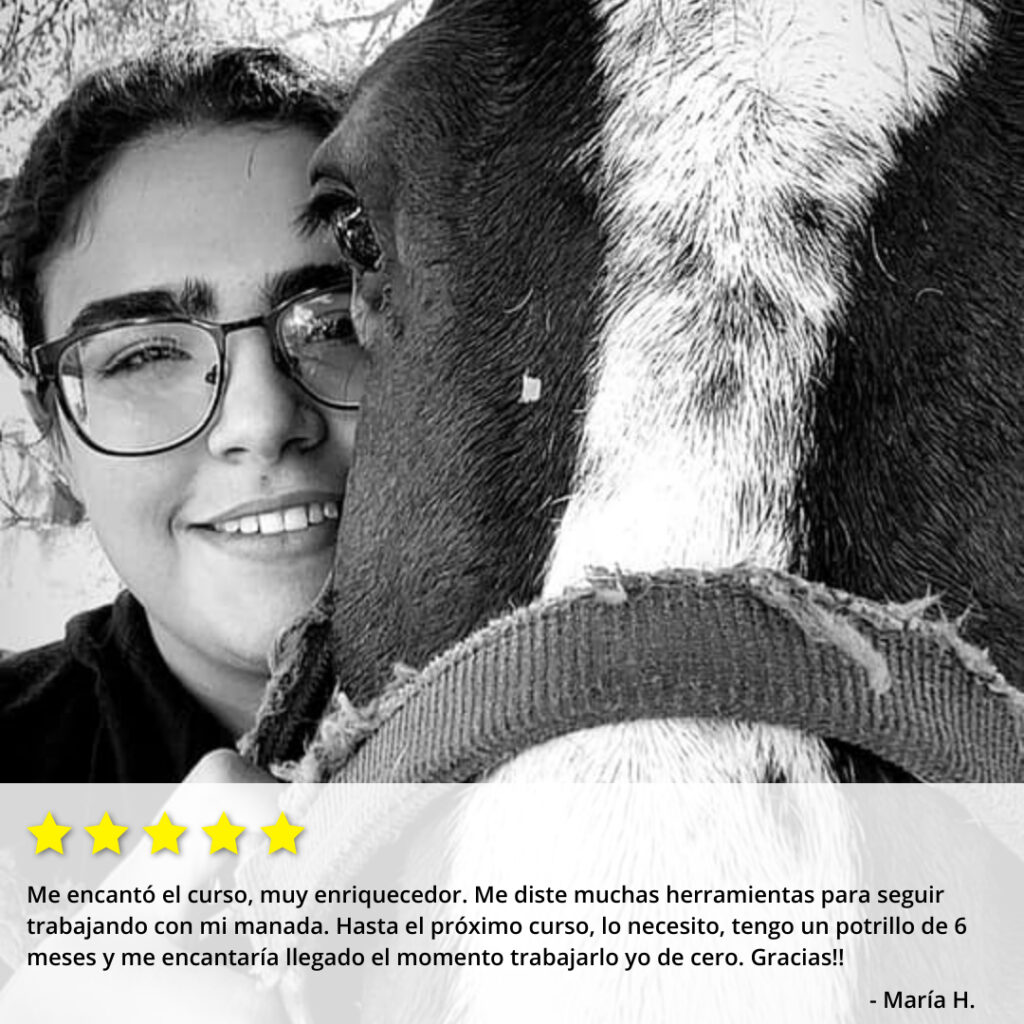 Testimonio 2 doma de caballos