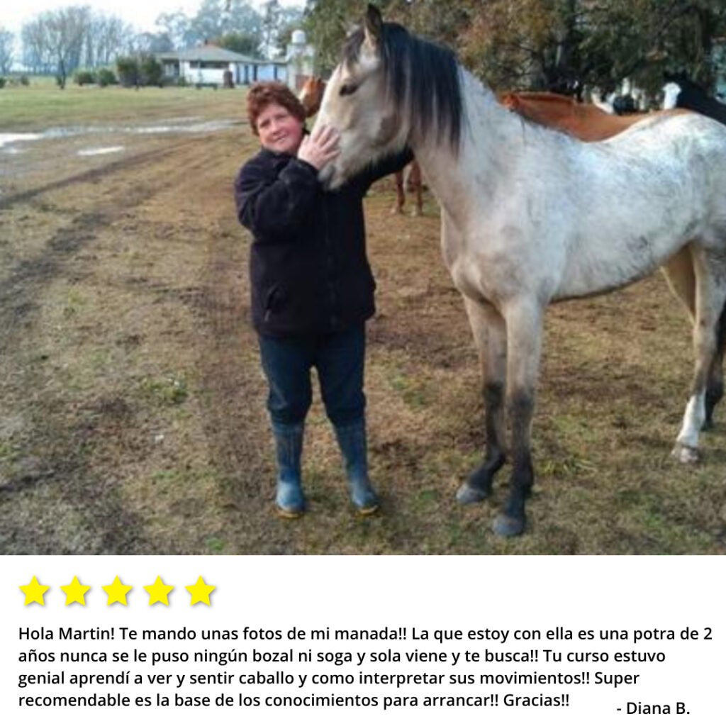 Testimonio 4 doma de caballos