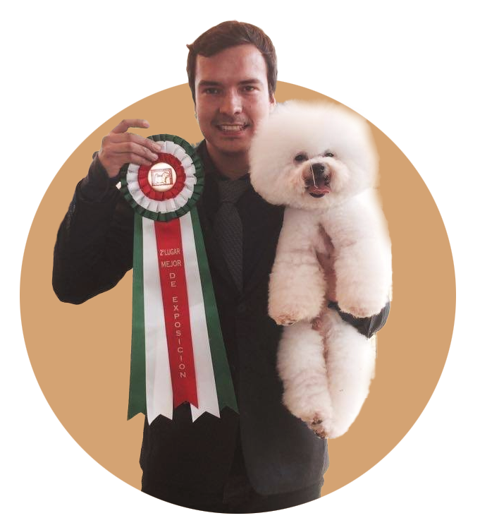 Curso Online Peluqueria de perros
