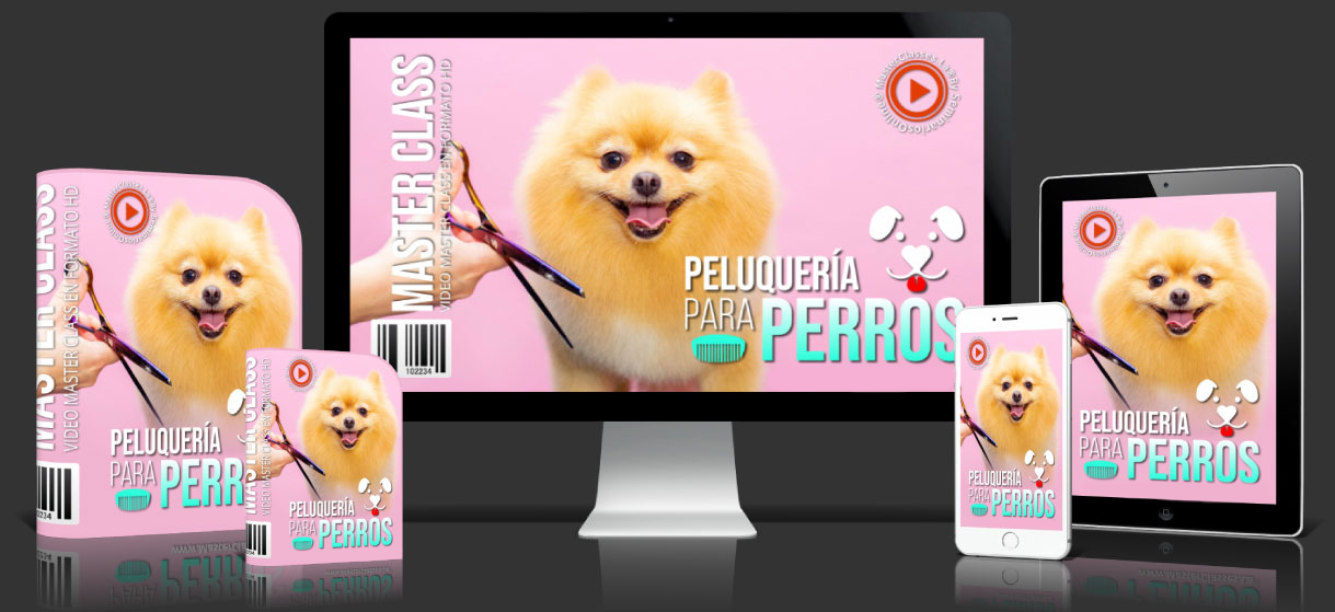 Curso Peluquería Canina