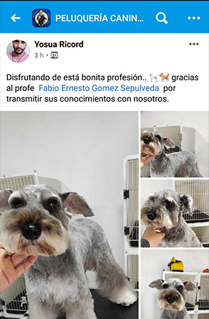 Curso de Grooming
