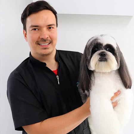 Fabio Sepulveda Curso Peluqueria Para Perros