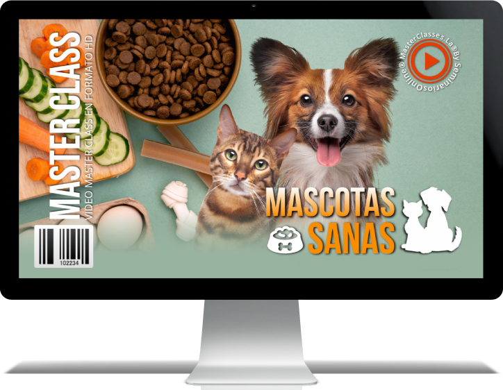 Mascotas Sanas Diana Fonseca